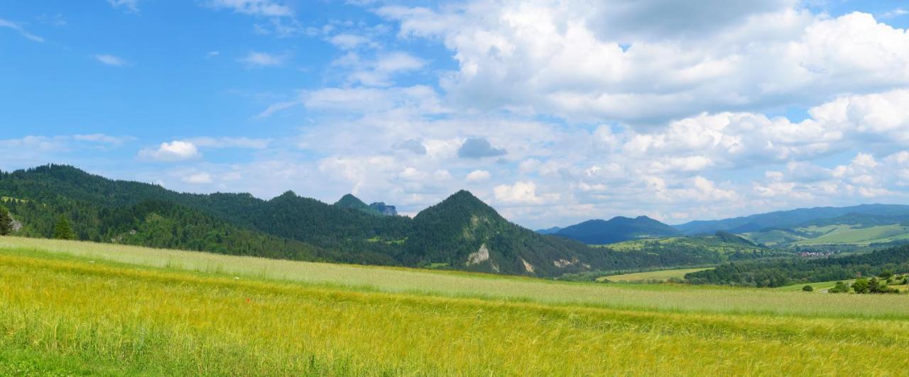 Agroturystyka Chmiel Sromowce Wyżne Kültér fotó